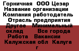 Горничная. ООО Цезар › Название организации ­ Компания-работодатель › Отрасль предприятия ­ Другое › Минимальный оклад ­ 1 - Все города Работа » Вакансии   . Калужская обл.,Калуга г.